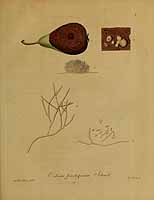  no thumbnail available