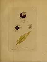  no thumbnail available