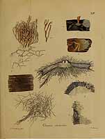  no thumbnail available