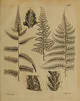  no thumbnail available