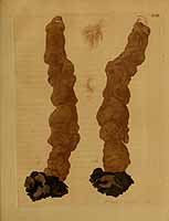  no thumbnail available