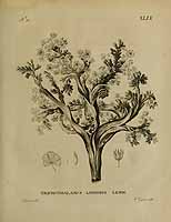  no thumbnail available