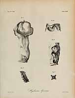  no thumbnail available