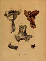  no thumbnail available