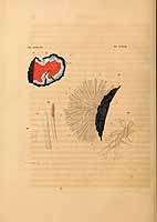  no thumbnail available