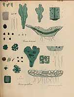  no thumbnail available