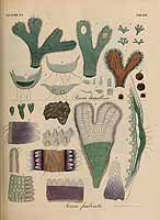  no thumbnail available