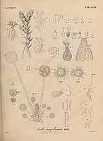  no thumbnail available