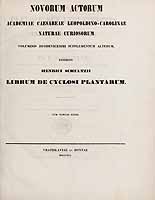  no thumbnail available