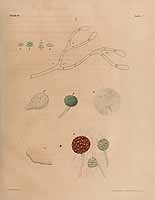  no thumbnail available