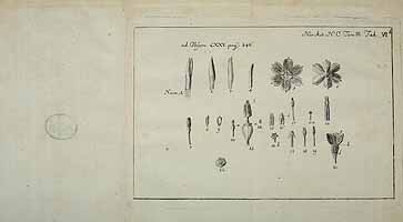  no thumbnail available