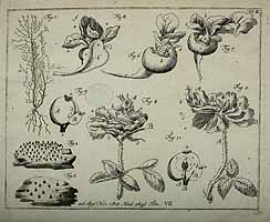  no thumbnail available