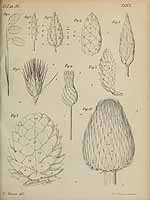  no thumbnail available