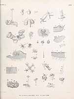  no thumbnail available