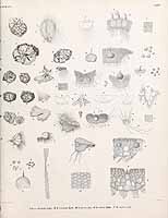  no thumbnail available