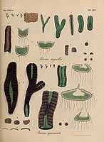  no thumbnail available