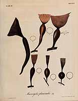  no thumbnail available