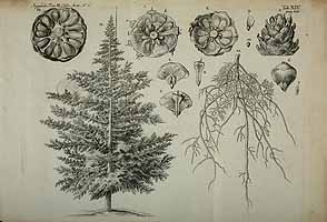  no thumbnail available