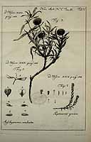  no thumbnail available