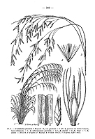  no thumbnail available