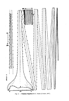  no thumbnail available