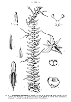  no thumbnail available