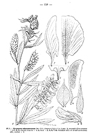  no thumbnail available