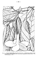  no thumbnail available