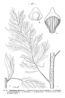  no thumbnail available