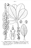  no thumbnail available