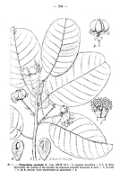  no thumbnail available