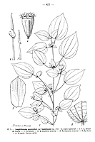  no thumbnail available