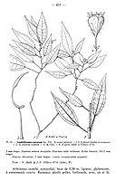  no thumbnail available