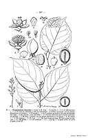  no thumbnail available