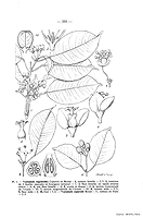  no thumbnail available