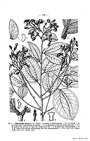  no thumbnail available