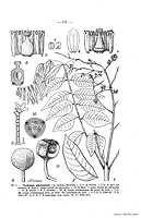  no thumbnail available