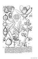  no thumbnail available