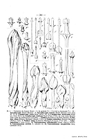  no thumbnail available