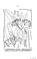  no thumbnail available