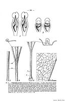  no thumbnail available