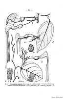  no thumbnail available