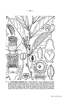  no thumbnail available