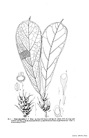  no thumbnail available