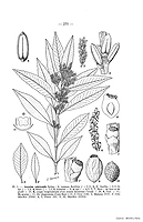  no thumbnail available