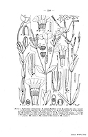  no thumbnail available