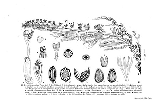  no thumbnail available