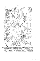  no thumbnail available