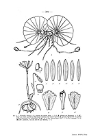  no thumbnail available