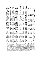  no thumbnail available